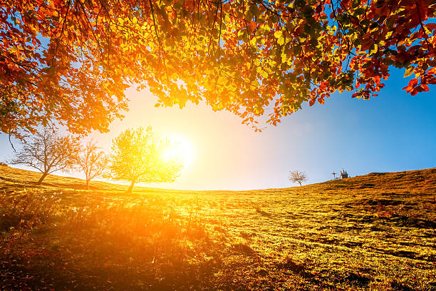 istock Colorful autumn landscape 531949761