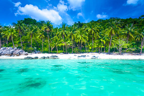 Tropical sea and blue sky in Koh Samui, Thailand stock photo