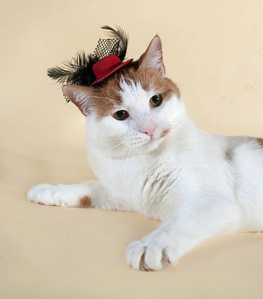 istock White cat with red spots in the red hat 531951905