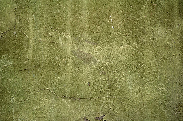 istock Texture of old wall covered with green stucco 531952281