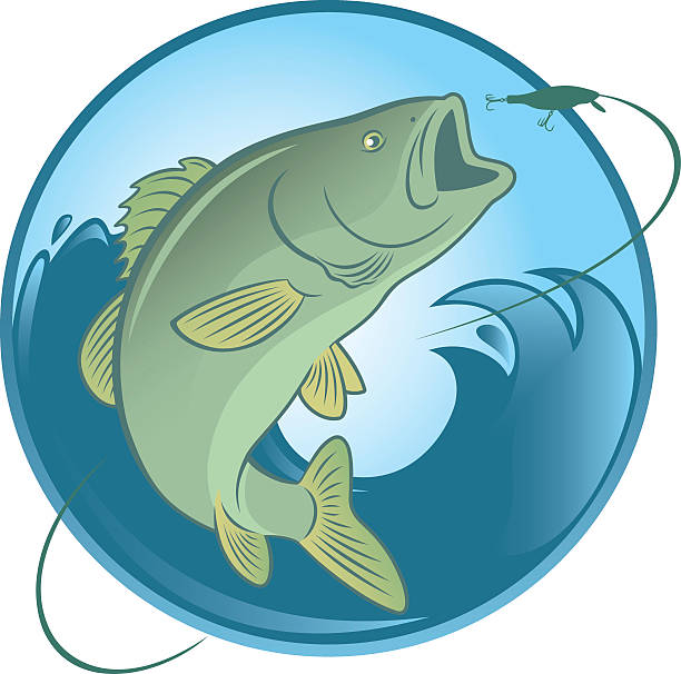 ilustrações, clipart, desenhos animados e ícones de pesca de robalo - rockfish