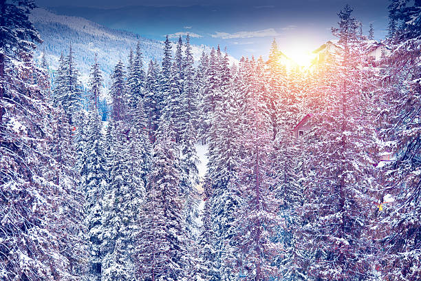 istock Amazing evening winter landscape. 531954245