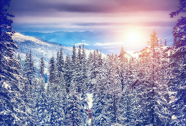 istock Amazing evening winter landscape. 531954347