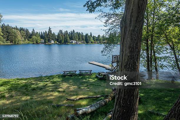 Mirror Lake Stock Photo - Download Image Now - Federal Way - Washington State, Washington State, Horizontal