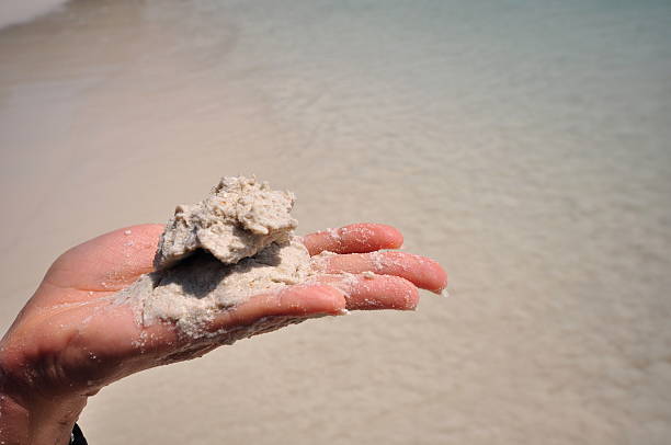 istock Young woman with sand in hands 531970334