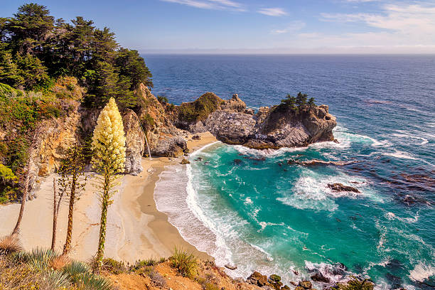istock Flowers, Beach and Falls, California 531971744