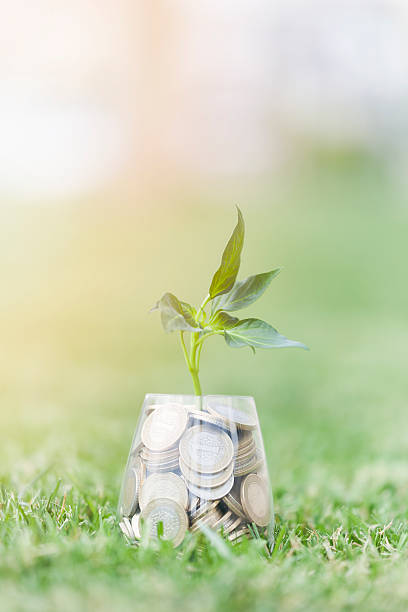 istock Coins and seed in clear glass on on grass 531971838