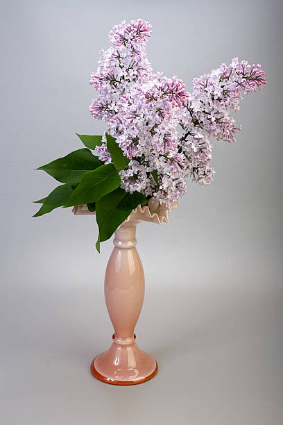 istock Bouquet of lilac in a vase. 531972130