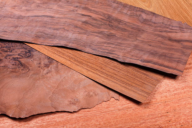 wood texture, Mahogany tree stock photo