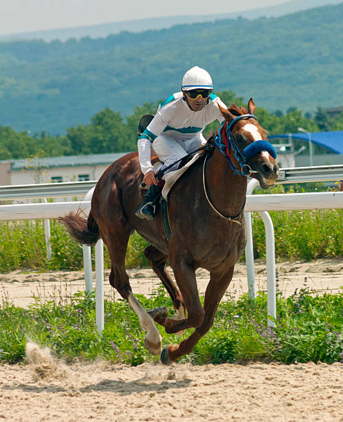 istock Horse racing in Pyatigorsk. 531979608