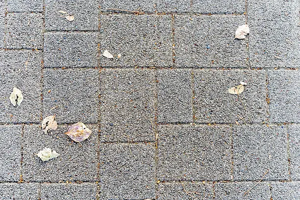 Falling leaves on the textured road