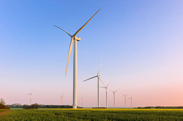 sonnenaufgang über ein feld von raps, yorkshire, uk. - wind turbine wind turbine yorkshire stock-fotos und bilder