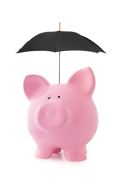 istock Piggy Bank 531986188