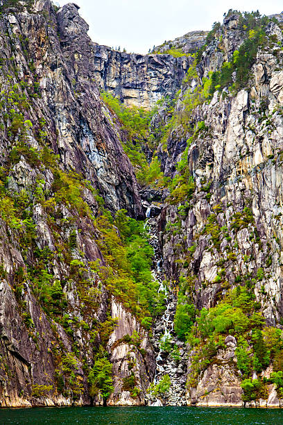 istock Mountain slope with trees and sea, Norway 531986313