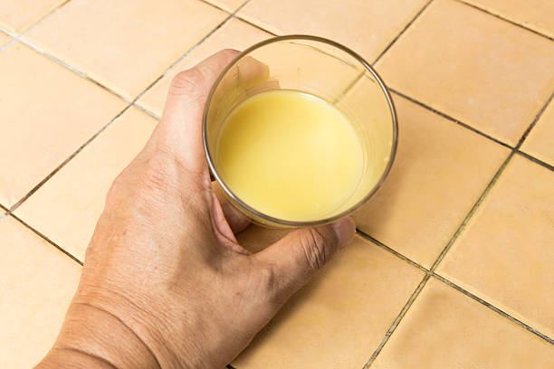 istock Glass with freshly squeezed ginger juice 531986905