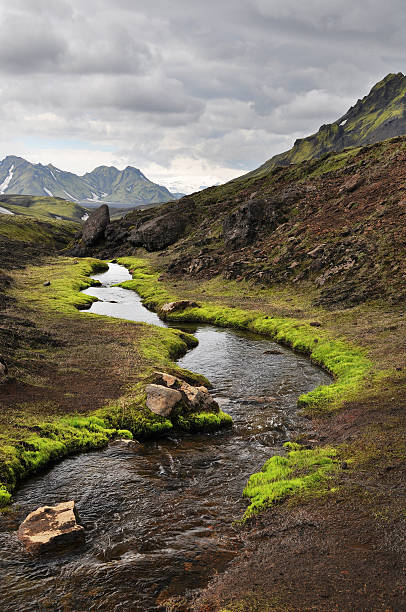 istock Stream in mountains in Iceland 531987699