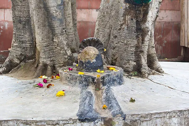 Shiva-lingam, deity of Lord Shiva, in Vrindavan