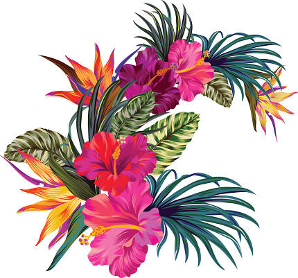 vector bouquet with tropical flowers. Retro Hawaiian style floral arrangement, with beautiful hibiscis, palm, bird of paradise. Amazing vector illustrations, in vintage style. Editable graphic elements.