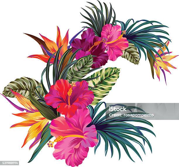 Vector Tropical Bouquet Stock Illustration - Download Image Now - Tropical Climate, Flower, Hibiscus