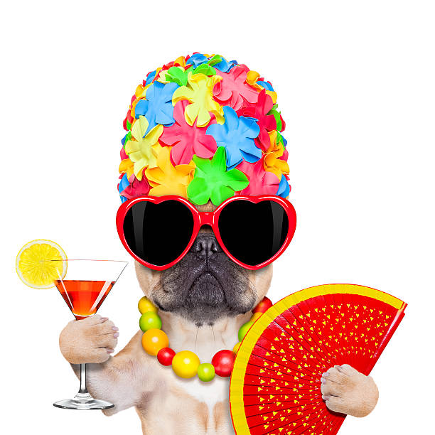 犬の夏のバケーション - humor bizarre drinking cocktail ストックフォトと画像