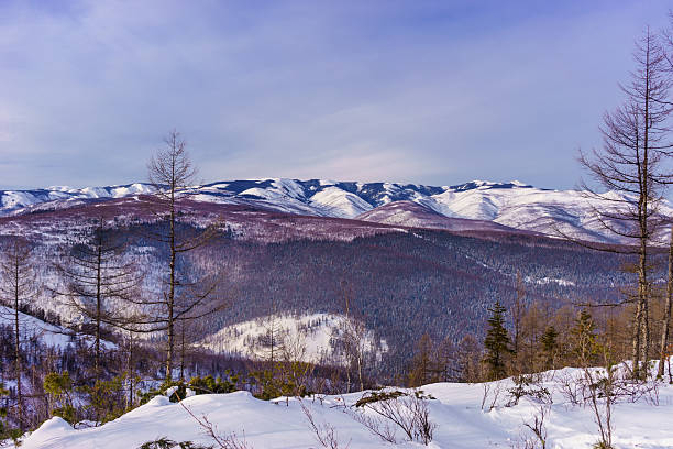 istock Taiga covered mountains in winter 531989999