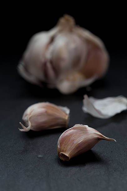 Garlic stock photo