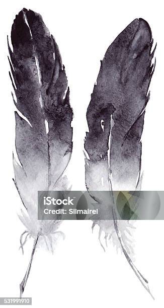 Watercolor Black And White Feather Pair Vector Set Isolated Stock Illustration - Download Image Now