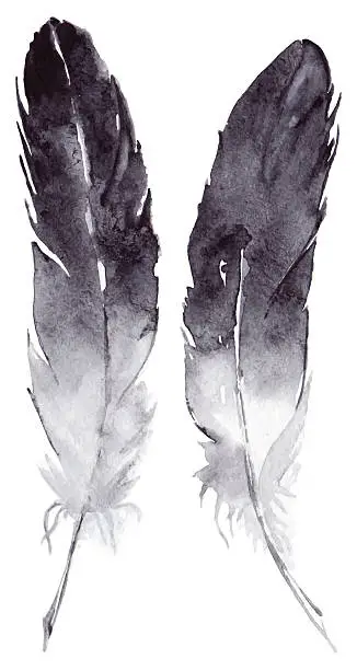 Vector illustration of Watercolor black and white feather pair vector set isolated