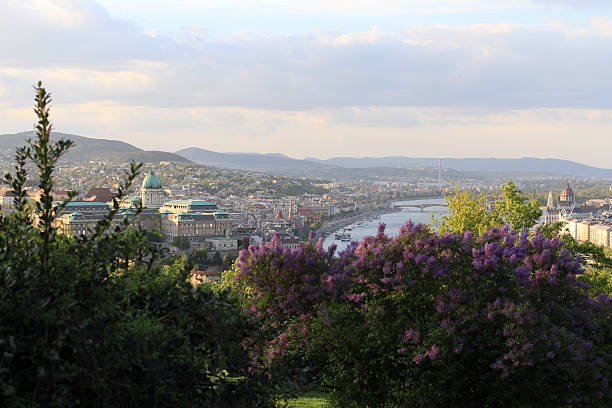 istock view from Gellert hill on the Budapest in spring 531992736