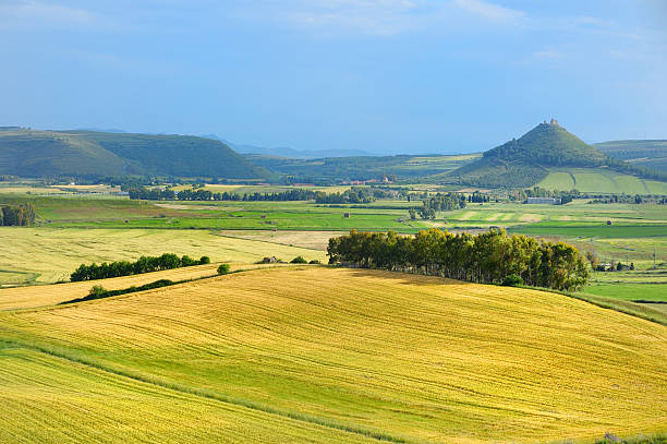 istock Scenic landscape of meadow in Sardinia 531993158