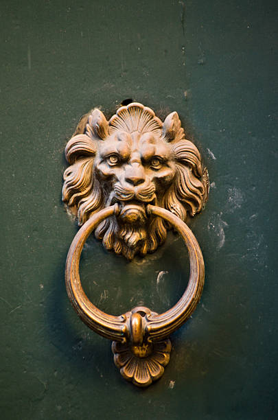istock historical door knocker with lion 531994234
