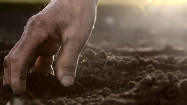 SLO MO Hand tiling the soil