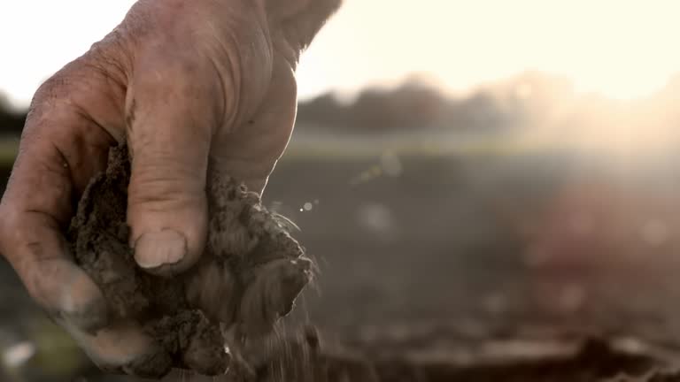 SLO MO Farmer examining the soil