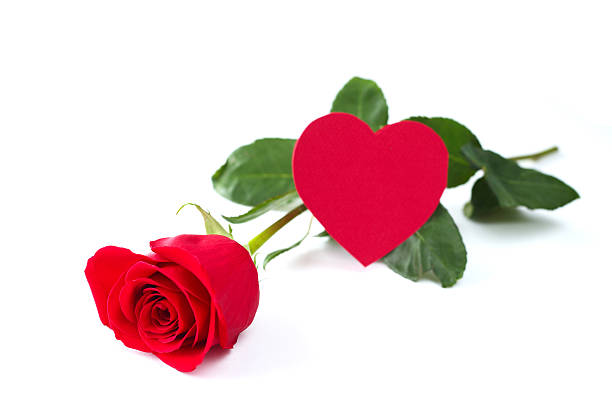 istock Rose and heart card 532005517