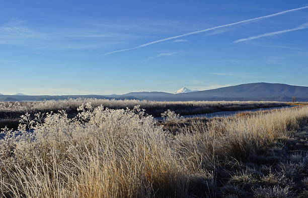 istock Mt. Shasta Winter Grassland 532005727