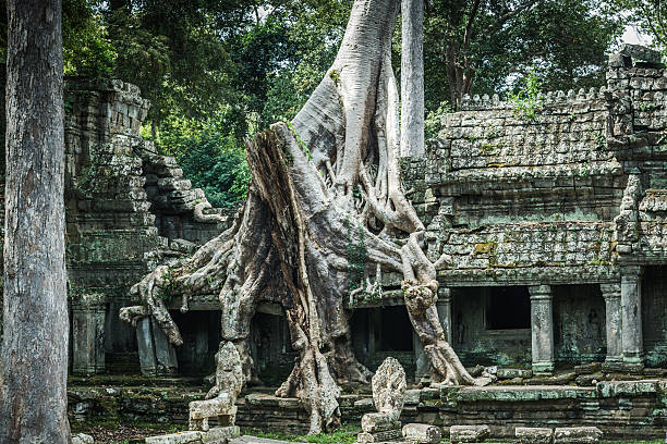 istock Angkor Wat, Cambodian Temple Ruins 532020001