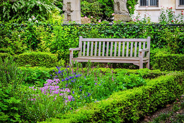 istock Park Bench in Paris, France 532020017