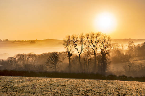 istock Misty Golden sunrise over a typical Cornish landscape 532020563