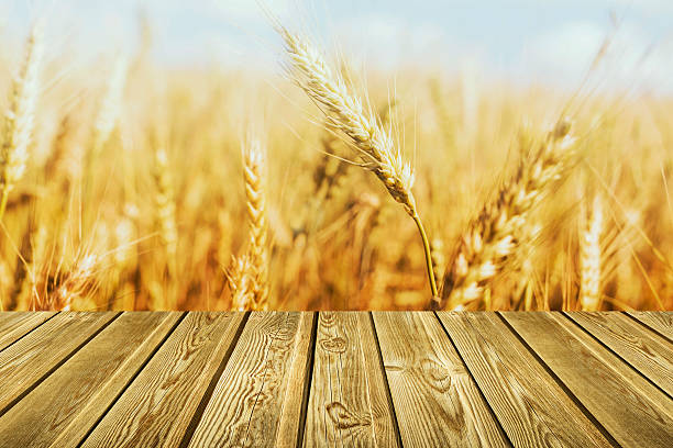 istock Wheat Farm and wooden table 532021033