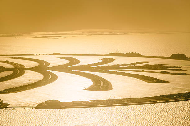 istock The Palm Jumeirah in Dubai 532021251