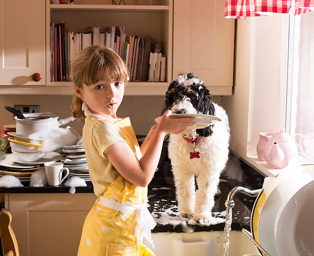 kitchen help little girl and pet dog help with the dishes child behaving badly stock pictures, royalty-free photos & images