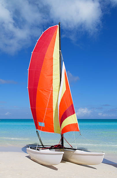istock Catamaran with its colorful sails wide open 532023085