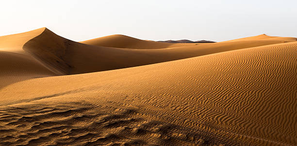 istock Sand dunes and waves in the sand. 532023193
