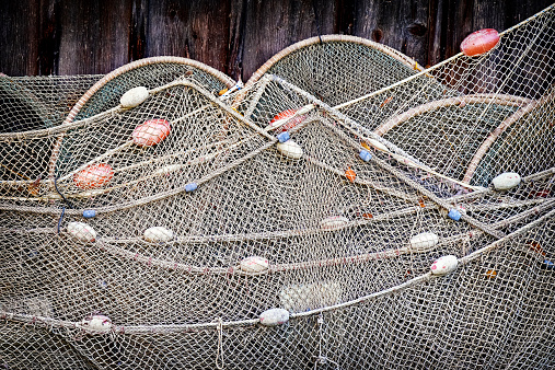 part of an old fishing net