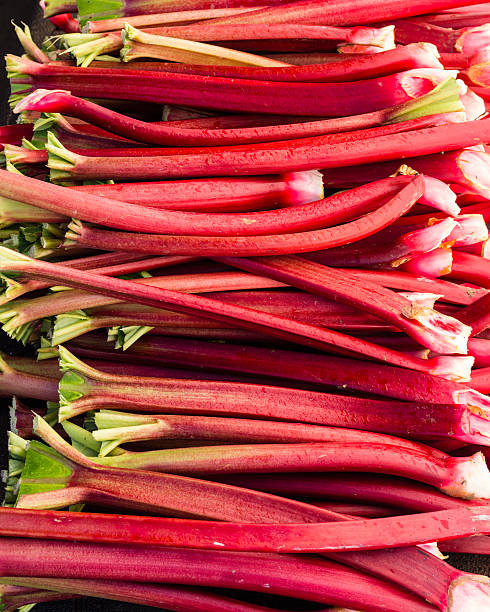 Rhubarb stems harvested ready to eat A display of red rhubarb stems harvested and ready to eat rhubarb stock pictures, royalty-free photos & images