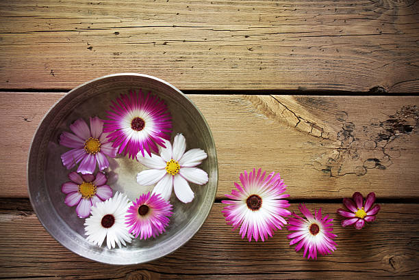 istock Silver Bowl With Cosmea Blossoms And Copy Space 532025049