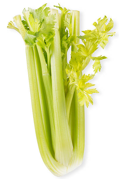 istock Organic vegetables - celery. Food background 532025809