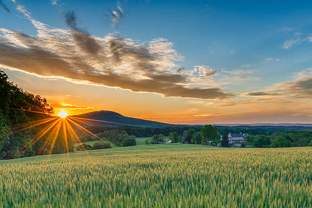 land sonnenuntergang - hügellandschaft stock-fotos und bilder