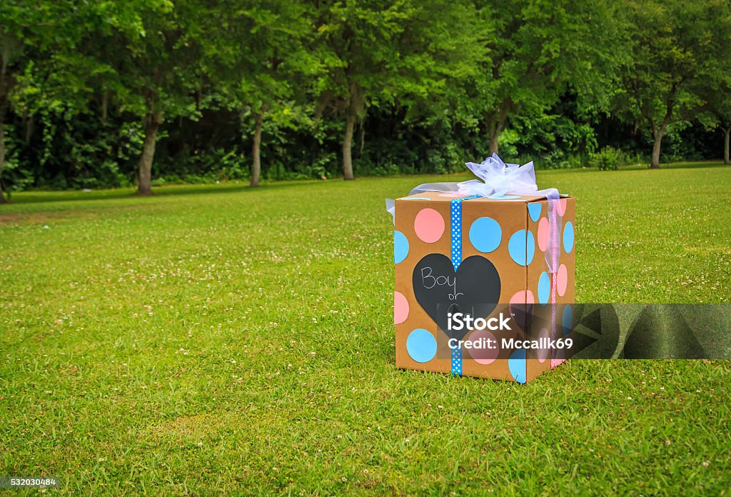 Sexo reveló caja de globo - Foto de stock de Fiesta de revelación del sexo del bebé libre de derechos