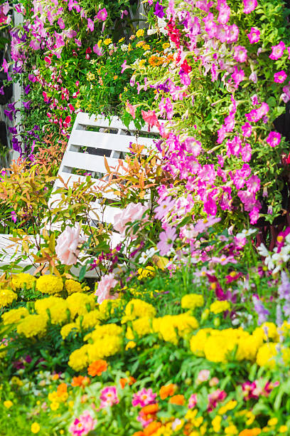 istock Flowers in the garden. 532034052